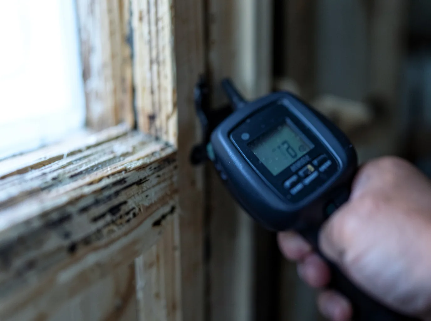 Commercial Water Damage Restoration in Jellico, TN
